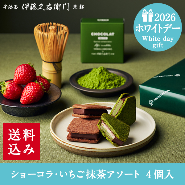 CM1：フィットちゃん（EISHIN）ショコラティエ CLT-650（新品 
